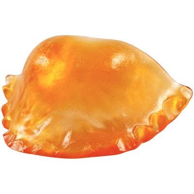 Lang Dental Contemporary Ortho-Jet Orthodontic Resin Powder, Orange, 1 lb Bottle - Contemporary Ortho-Jet, 1 lb Bottle of Powder - Orange - Image 1