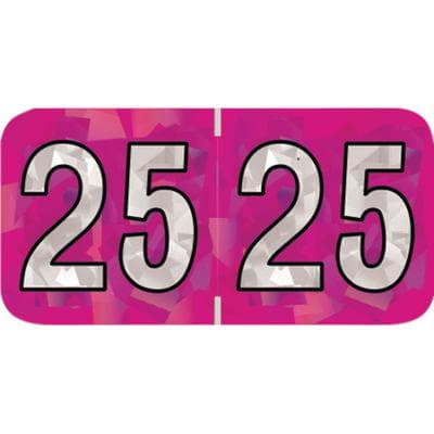 2025 Yearly Aging Labels, Holographic Series, Fuchsia, 1-1/2" x 3/4", 500/Roll - 2025 Yearly Aging Labels - Holographic Series - 500/Roll - Fuchsia, 500/Roll - Image 1