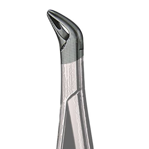 US Elite Forceps 151S Roots Uni, 43291 - US Elite - Forceps - Image 1