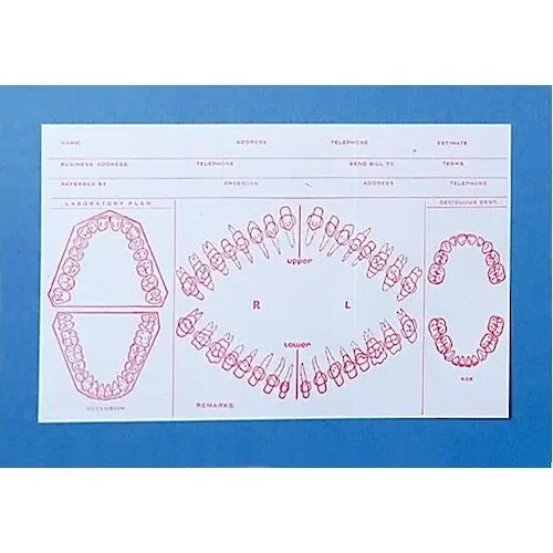 Schapiro Printing Record Cards, 5" x 8", #211A, 100/Pkg. - Record Cards 5" x 8", #211A, 100/Pkg. - Image 1