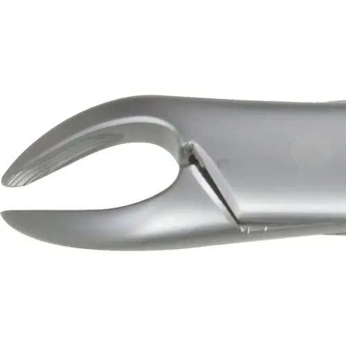 Miltex Xcision® Extracting Forceps #150, Universal Upper Anterior, Stainless Steel, 1 Each (DEFXC150) - Xcision® Extracting Forceps – # 150, Universal, Upper Anterior - Xcision® Extracting Forceps – # 150, Universal, Upper Anterior - Image 1