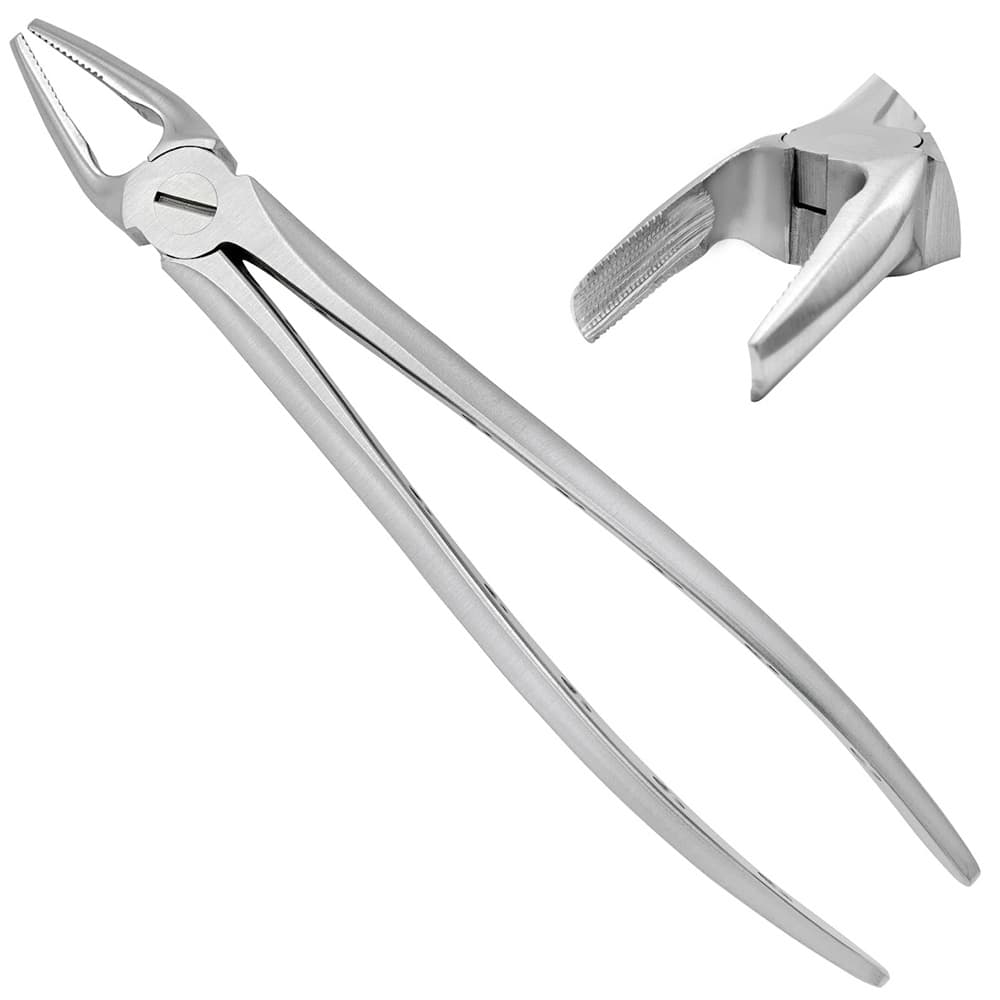 AR INSTRUMED Upper Premolar Extraction Forceps, Stainless Steel, Serrated, Hollow Python Grip, 6.5", 1/Pk - AR INSTRUMED Adults Upper Premolars Dental Extraction Frocep, Premium Quality Stainless Steel, Hollow Python Grip Handle Light-Weight Dental Plier, Thin Serrated Tip Upper Tooth Extracting Tool - Image 1