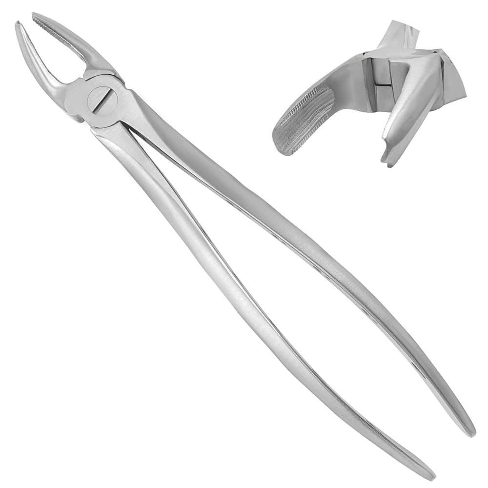 AR Instrumed #17 Stainless Steel Adult Upper Right Molar Extraction Forceps, Serrated, 1/Pk - AR INSTRUMED Adults Upper Right molars dental Extraction forcep, High-quality Medical grade stainless steel, Anatomical handle light- weight tooth extracting tool, Thin serrated beak dental plier. fig 17 - Image 1
