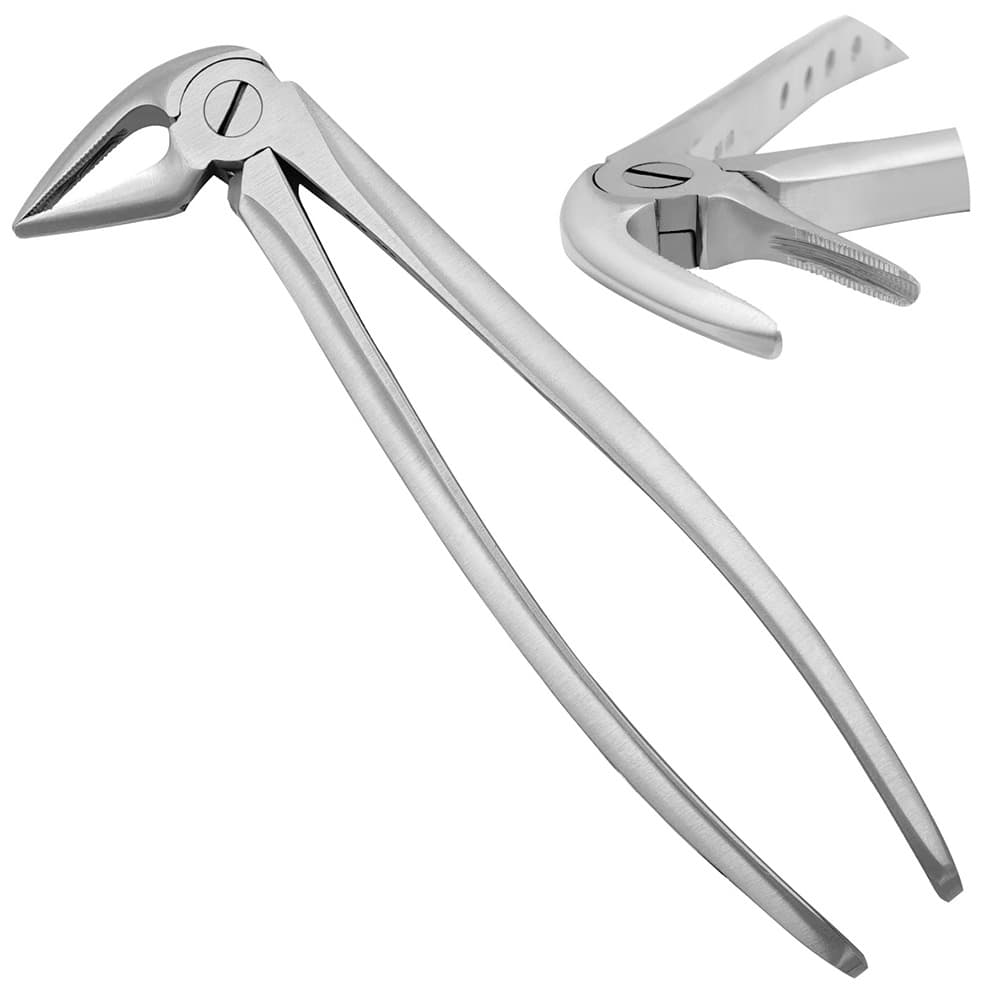 AR Instrumed #33L Adult Lower Roots Dental Extraction Forceps, Medical Grade Stainless Steel, Serrated, 1/Pk - AR INSTRUMED Adults Lower Roots Dental Extraction Forceps, Medical Grade Stainless Steel, Light-Weight Hollow Python Grip Handle, Roots Extracting Tool For Lower Incisors, Molars And Premolars. - Image 1