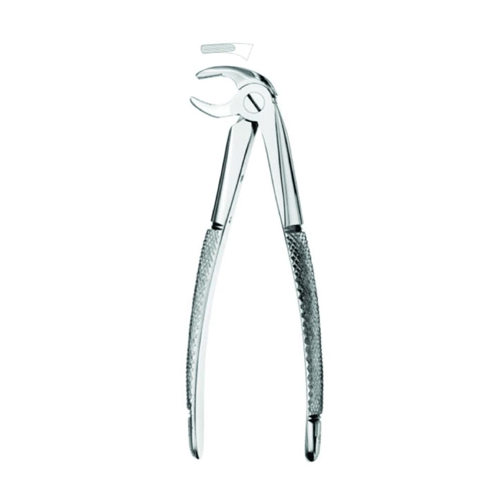 Best #13 English Pattern Extraction Forceps, Lower Premolars, 1/Pk - Best #13 English Pattern Extraction Forceps, 1/Pk - Image 1