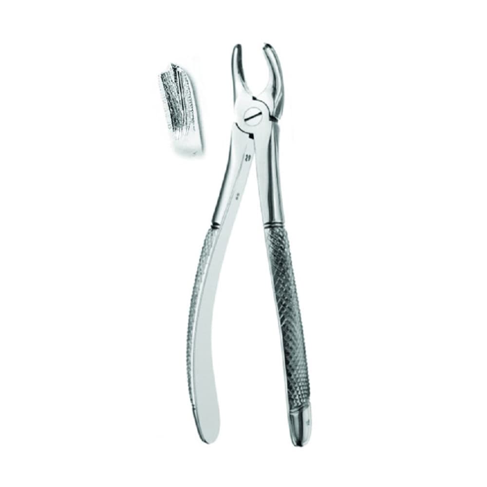 Best #18 English Pattern Extraction Forceps, 1/Pk - Best #18 English Pattern Extraction Forceps, 1/Pk - Image 1