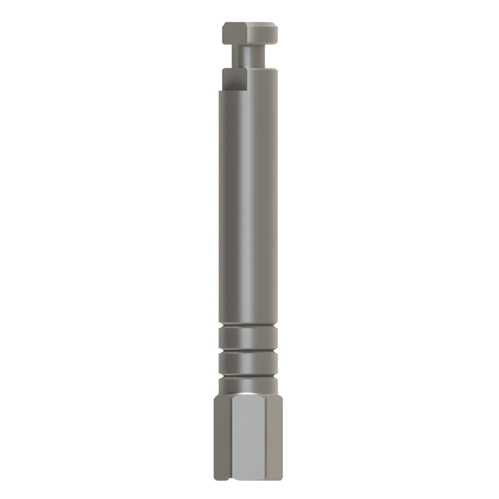 Bhi Implants Hex Driver 2.42mm Motor Mount Adapter, Stainless Steel, Internal Hex, 20mm, 1/Pk - Bhi Implants Hex Driver 2.42mm Motor Mount Adapter, Stainless Steel, Internal, 20mm, 1/Pk - Image 1