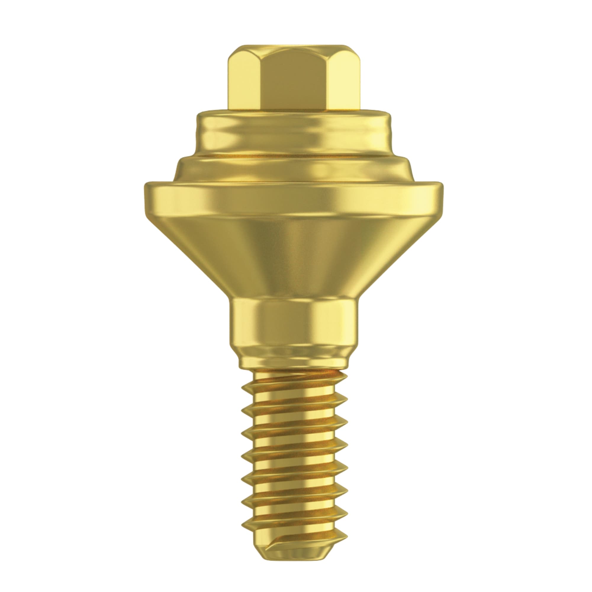 DSI 1.0mm Titanium Grade 23 Straight Multi-Unit Abutment, 2.42mm Internal Hex, RP Systems, 1/Pk - DSI 1.0mm Titanium Grade 23 Straight Multi-Unit Abutment, 2.42mm Internal Hexx, RP Systems, 1/Pk - Image 1