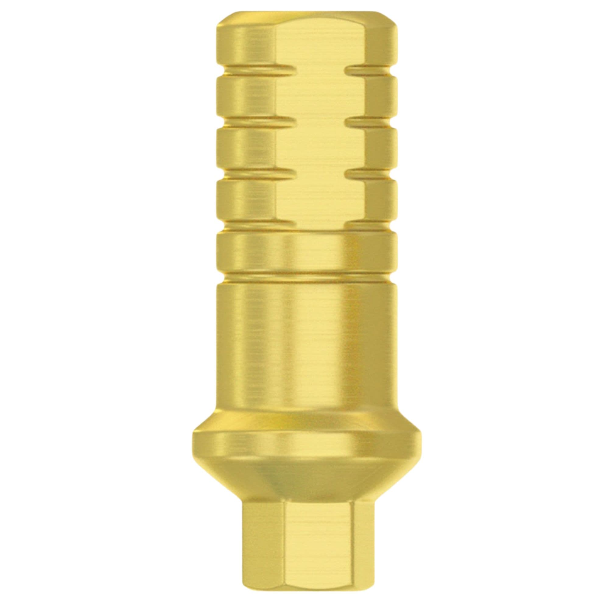 DSI 1.0mm Titanium Shoulder Straight Abutment with Fixation Screw, Ø3.5mm Conical Connection, NP, 1/Pk - DSI 1.0mm Titanium Shoulder Straight Abutment w/Fixation Screw, Ã3.5mm Conical Connection, NP, 1/Pk - Image 1