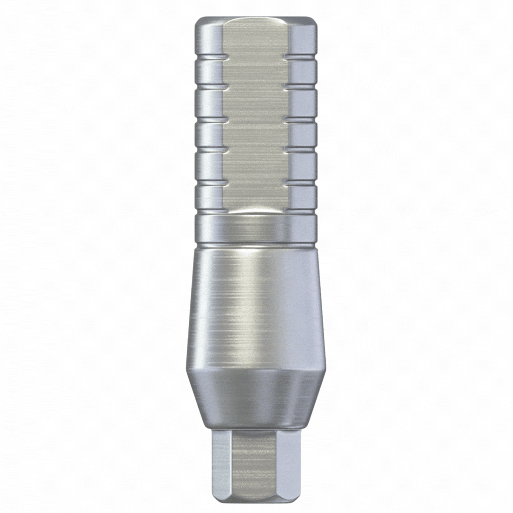 DSI 2.00mm Titanium Straight Narrow Abutment with Fixation Screw, 11mm Gingival Height, Internal Hex, 1/Pk - DSI, 2.00mm Titanium Straight Narrow Abutment w/Fixation Screw, 11mm GH, Internal Hex, 1/Pk - Image 1