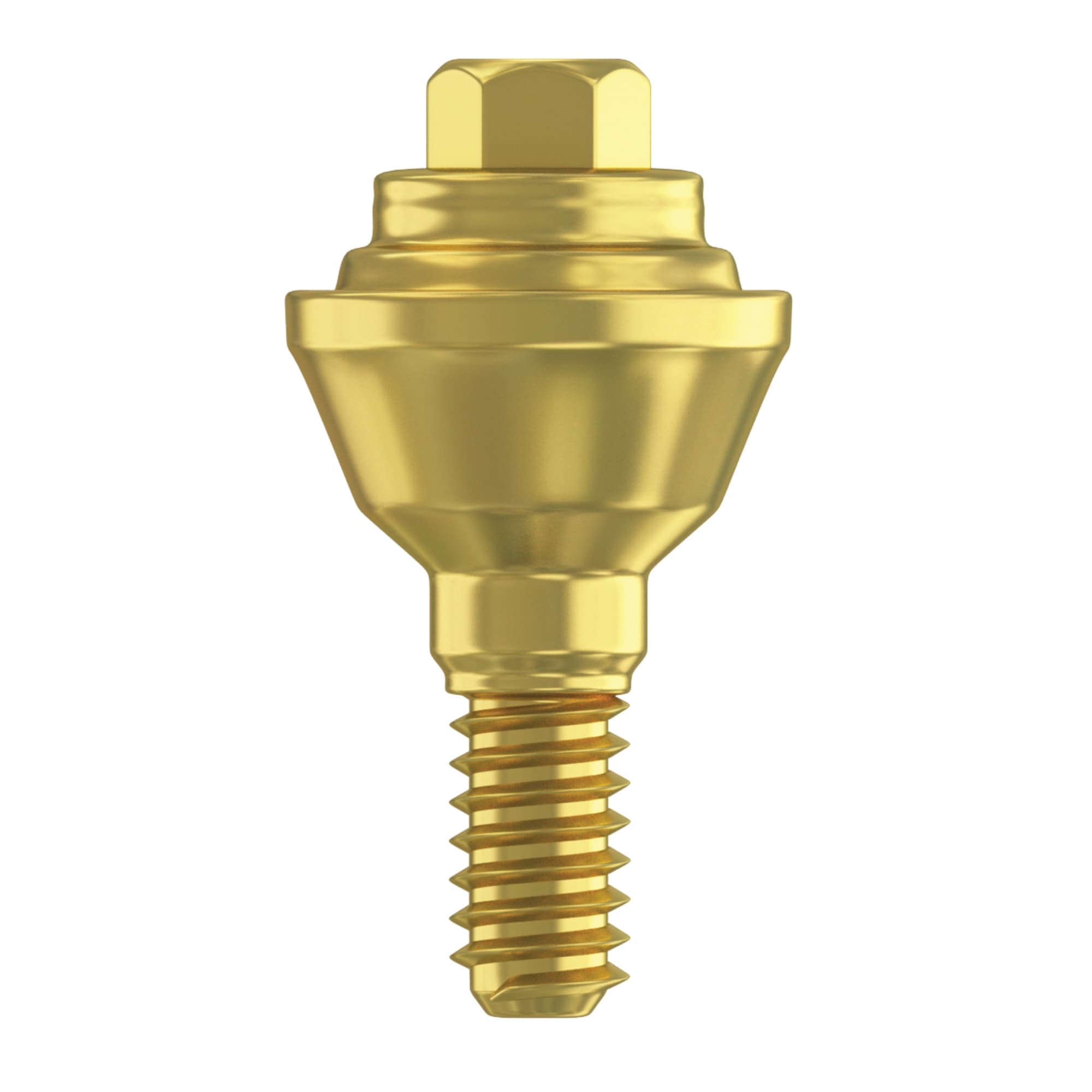 DSI 2.0mm Titanium Grade 23 Straight Multi-Unit Abutment, 2.42mm Internal Hex, RP Systems, 1/Pk - DSI 2.0mm Titanium Grade 23 Straight Multi-Unit Abutment, 2.42mm Internal Hex, RP Systems, 1/Pk - Image 1