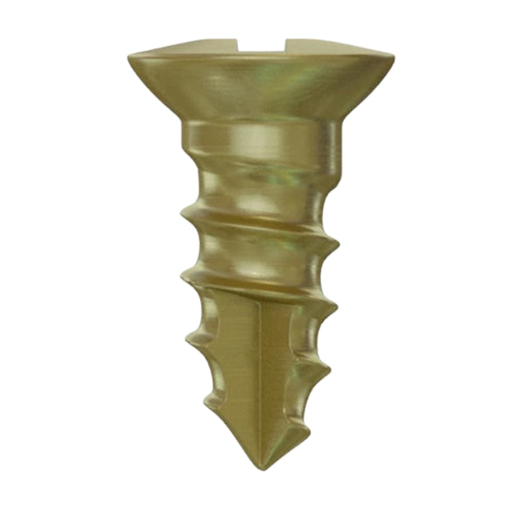DSI GBR Titanium Bone Screw, 1.6 x 3.0mm, Phillips Connection, 5/Pk - DSI GBR Ã1.6 x 3.0mm Titanium Bone Screw, Phillips Connection, 5/Pk - Image 1