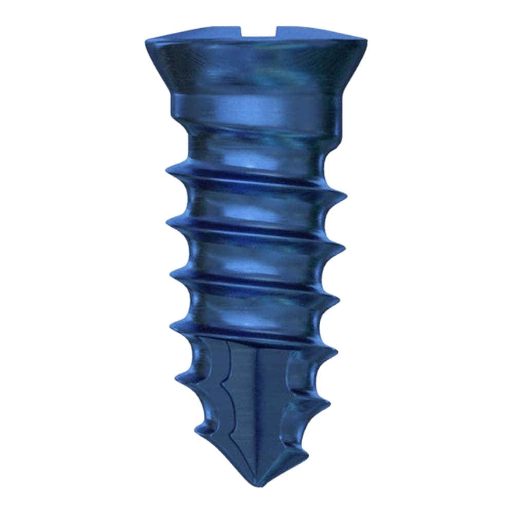 DSI GBR Titanium Bone Screw, 2.0 x 4.0mm, Phillips Connection, 5/Pk - DSI GBR Ã2.0 x 4.0mm Titanium Bone Screw, Phillips Connection, 5/Pk - Image 1