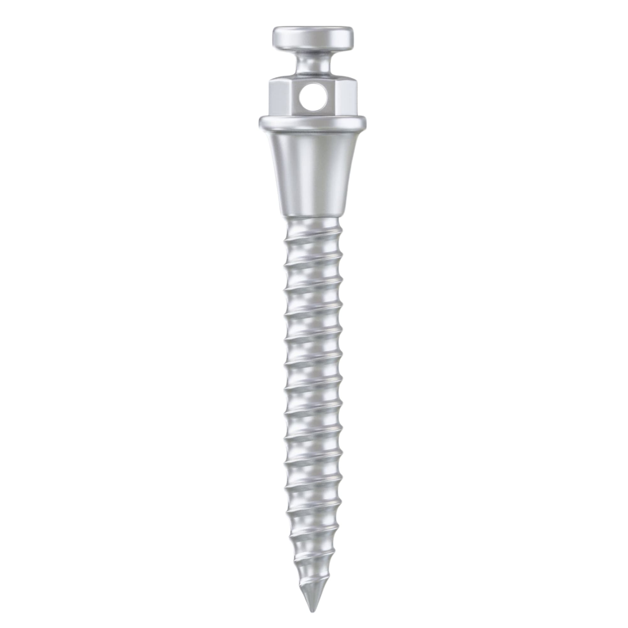 DSI Standard Wide Ø2.0 x 10mm Titanium TAD Miniscrew, 2.2mm Hex, 1/Pk - DSI Standard Wide Ã2.0 x 10mm Titanium TAD Miniscrew, 2.2mm Hex, 1/Pk - Image 1