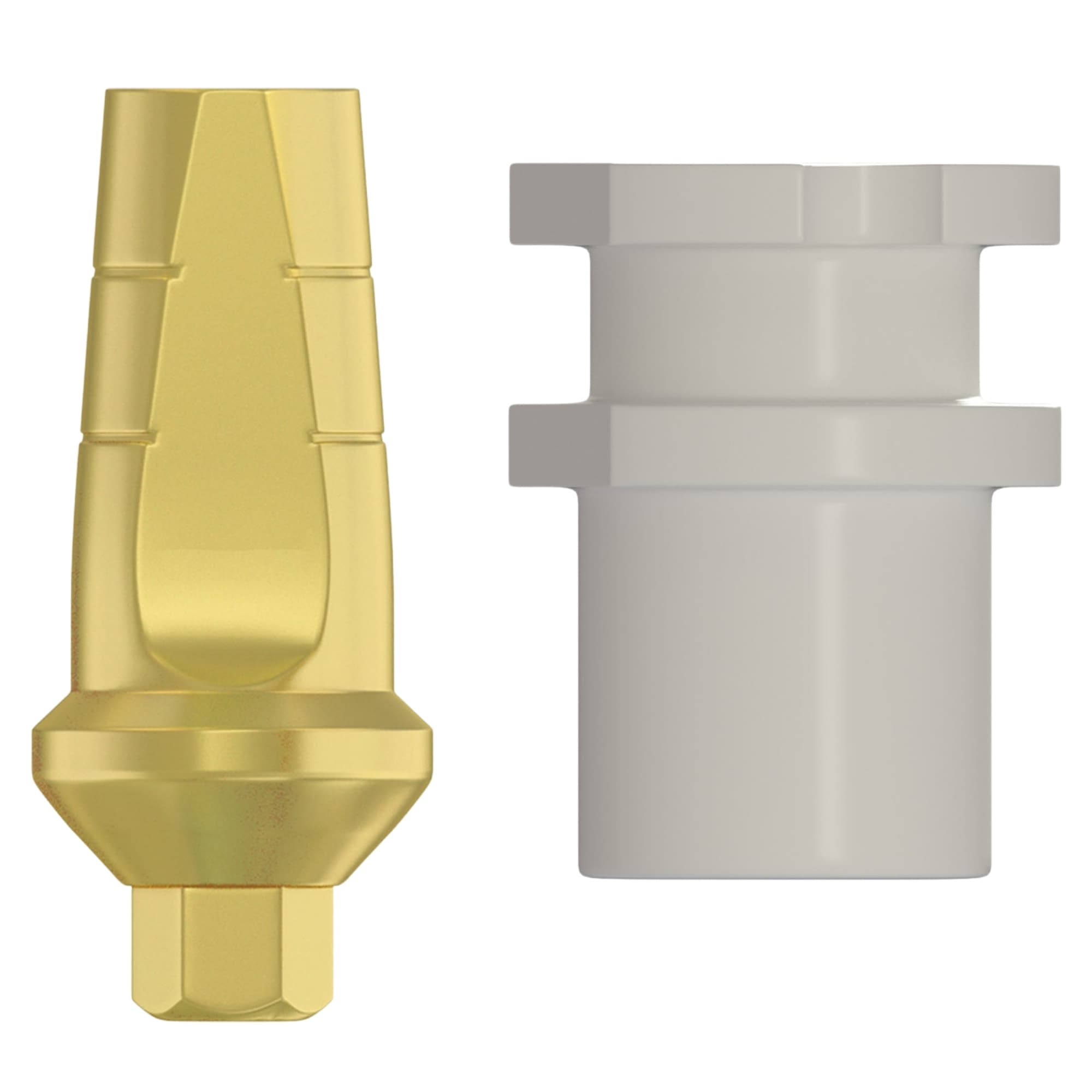 DSI Snap-On Anatomic 1.0mm Titanium Final Abutment & Transfer, 2.42mm Internal Hex, 1/Pk - DSI Snap-On Anatomic 1.0mm Titanium Final Abutment & Transfer, 2.42mm Internal Hex, 1/Pk - Image 1