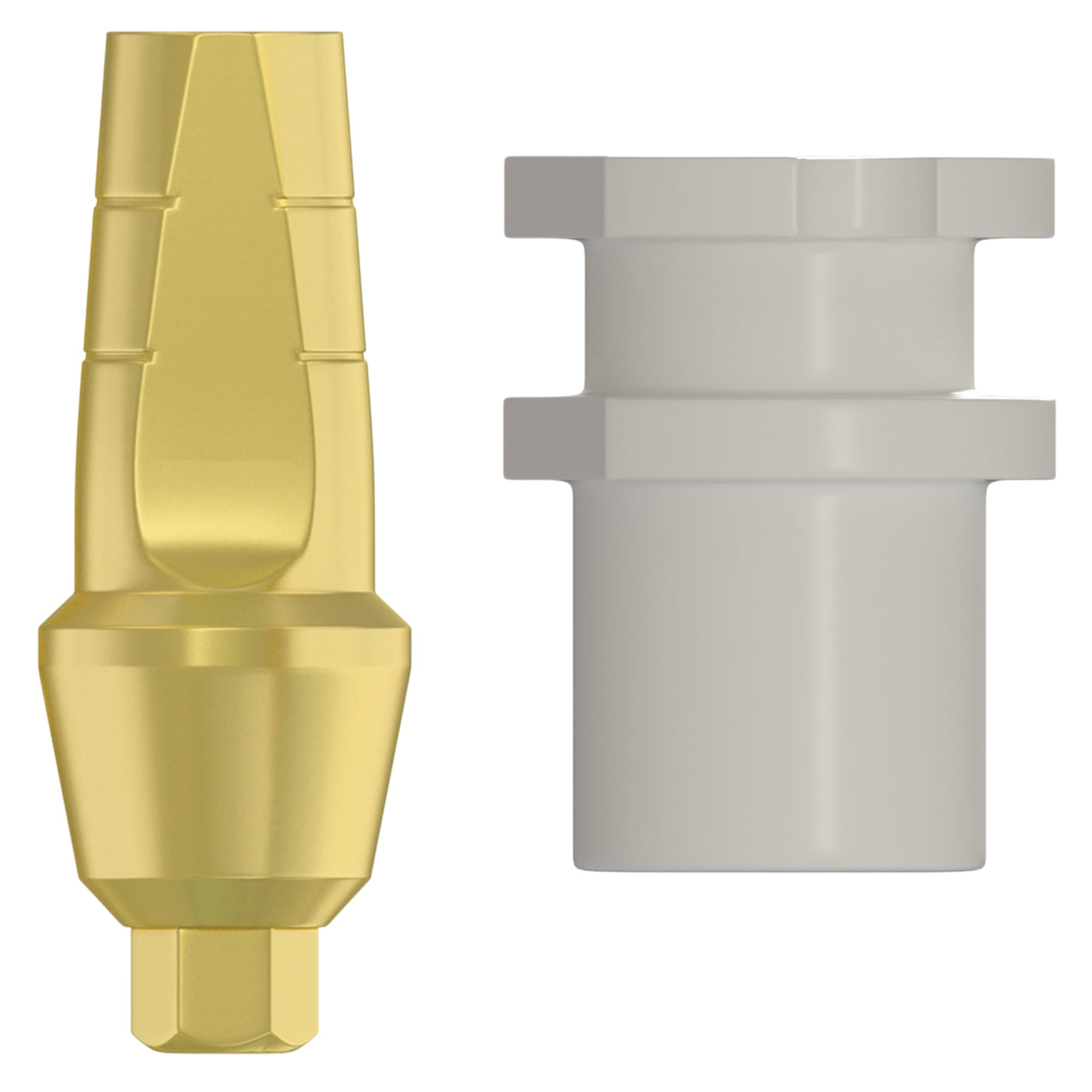 DSI Snap-On Anatomic 3.0mm Titanium Final Abutment & Transfer, 2.42mm Internal Hex, 1/Pk - DSI Snap-On Anatomic 3.0mm Titanium Final Abutment & Transfer, 2.42mm Internal Hex, 1/Pk - Image 1