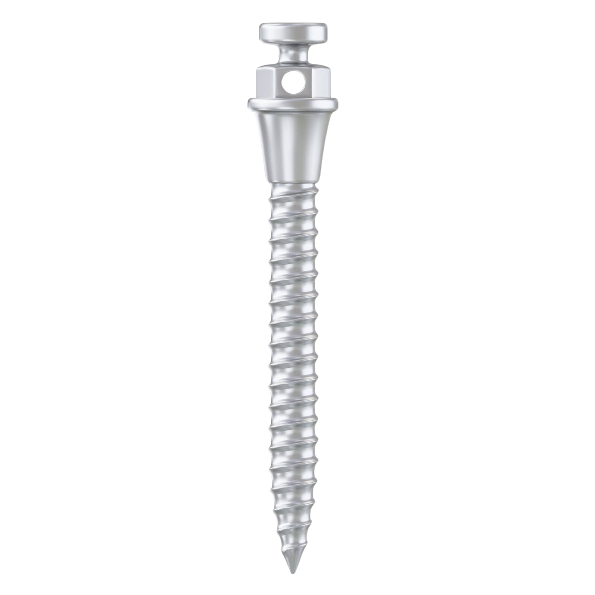 DSI Standard Wide Ø2.0 x 12mm Titanium TAD Miniscrew, 2.2mm Hex, 1/Pk - DSI Standard Wide Ã2.0 x 12mm Titanium TAD Miniscrew, 2.2mm Hex, 1/Pk - Image 1