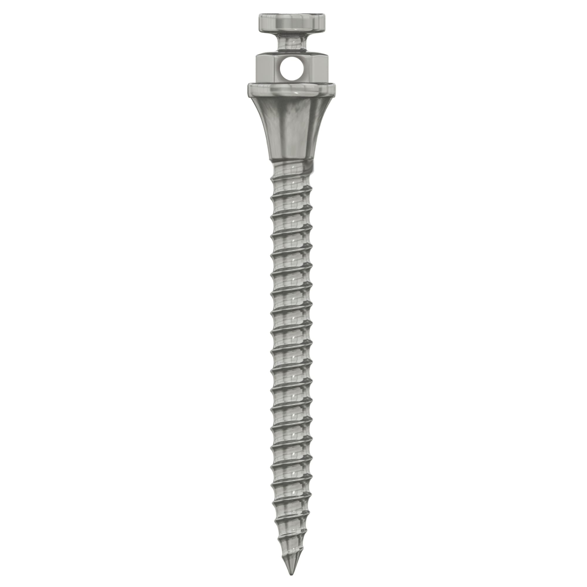 DSI Titanium TAD Miniscrew, Ø1.5 x 14mm, 1/Pk - DSI Titanium TAD Miniscrew, Ã1.5 x 14mm, 1/Pk - Image 1
