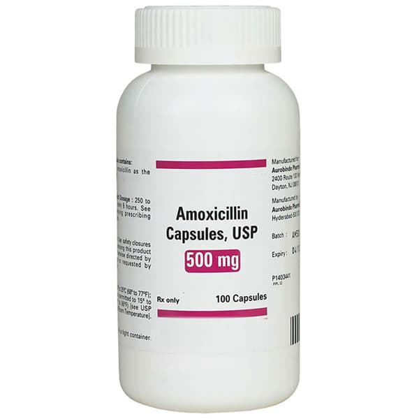 House Brand Amoxicillin 500 mg Capsules, Bottle of 100 - House Brand Amoxicillin 500 mg, Bottle of 100 Capsules - Image 1