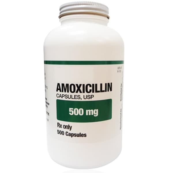 House Brand Amoxicillin 500 mg Capsules, Bottle of 500 - House Brand Amoxicillin 500 mg, Bottle of 500 Capsules - Image 1