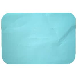 House Brand Patient Bibs, Aqua, 13" x 18", 2-Ply Paper/1-Ply Poly, Plain Rectangle, 500/Case - House Brand Patient Bibs AQUA 13" x 18" 2-Ply Paper/1-Ply Poly, Plain Rectangle - Image 1