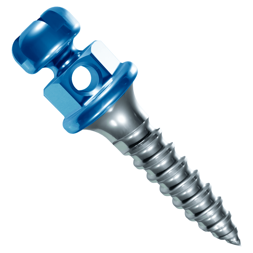 Morelli Titanium Self-Drilling Mini Screw with Bracket Head CCW, Ø1.5mm x 6mm, 1mm Collar, 1/Pk - Morelli Titanium Self-Drilling Mini Screw with Bracket Head CCW, Ã1.5mm / 6mm / 1mm Collar, 1/Pk - Image 1