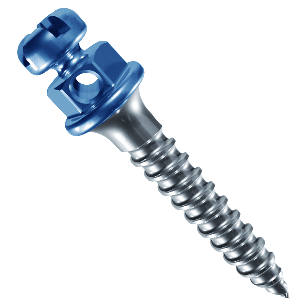 Morelli Titanium Self-Drilling Mini Screw with Bracket Head CCW, Ø1.5mm x 8mm, 1mm Collar, 1/Pk - Morelli Titanium Self-Drilling Mini Screw with Bracket Head CCW, Ã1.5mm / 8mm / 1mm Collar, 1/Pk - Image 1