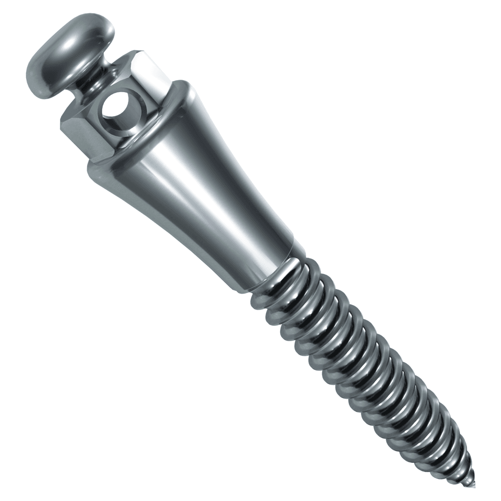 Morelli Extrarradicular Stainless Steel Button Head Self-Drilling Mini Screw, Ø2mm x 10mm Thread, 4mm Collar, 1/Pk - Morelli Extrarradicular Stainless Steel Button Head Self-Drilling Mini Screw, Ã2mm / 10mm / 4mm Collar, 1/Pk - Image 1