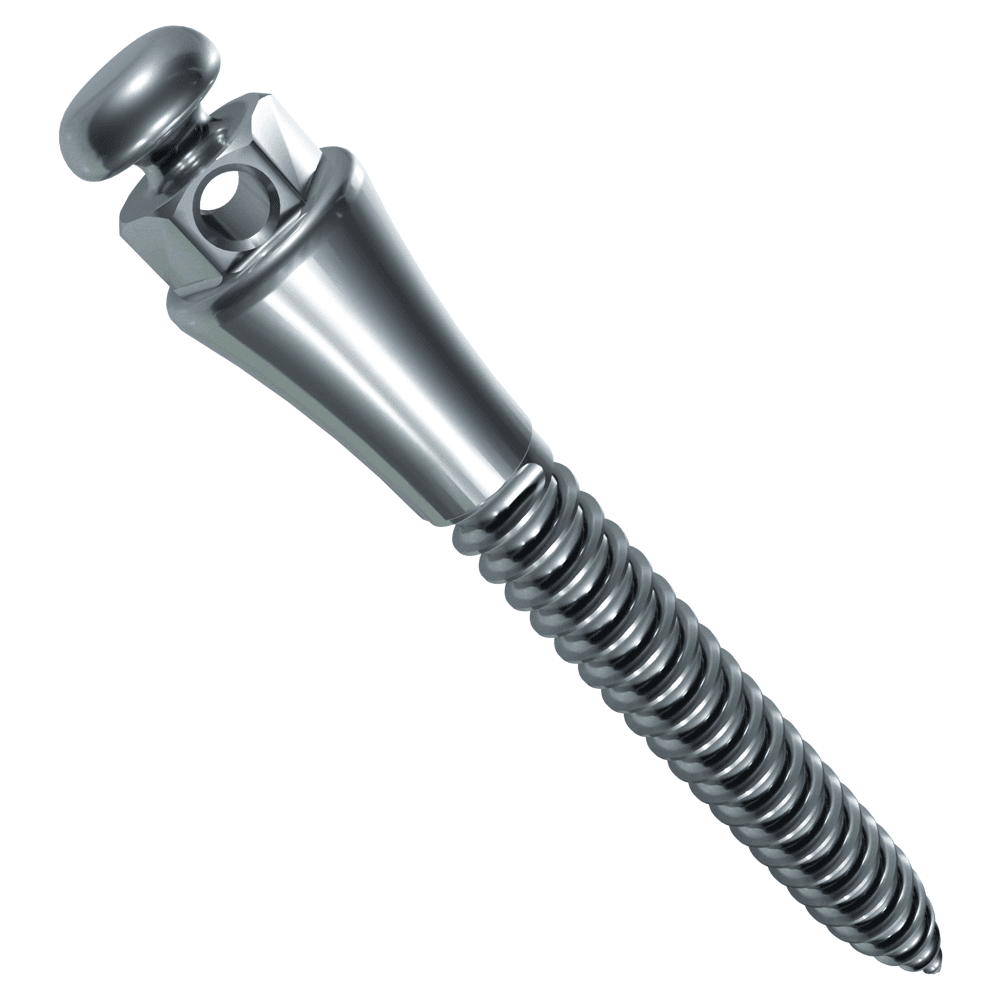 Morelli Extrarradicular Stainless Steel Button Head Self-Drilling Mini Screw, Ø2mm x 14mm, 4mm Collar, 1/Pk - Morelli Extrarradicular Stainless Steel Button Head Self-Drilling Mini Screw, Ã2mm / 14mm / 4mm Collar, 1/Pk - Image 1