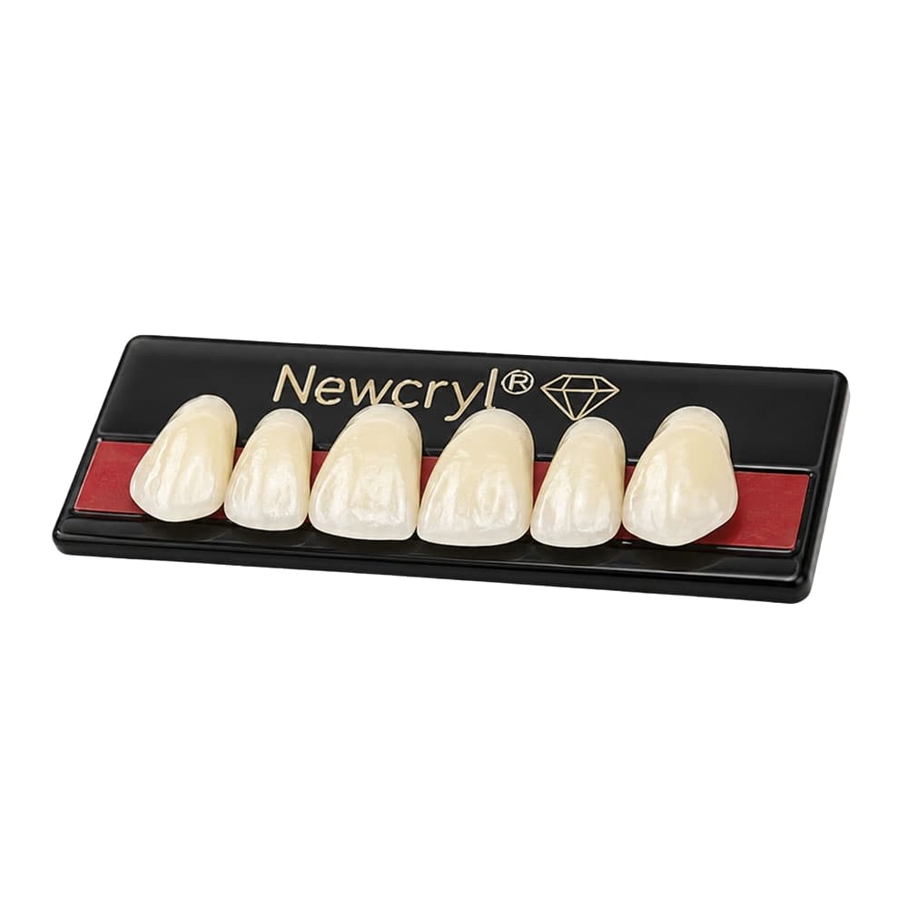 Newcryl Two-Layer Acrylic Resin Denture Teeth, Upper Posterior, Mould 32L, Shade A4, 8/Card - Newcryl Two-Layer Acrylic Resin Denture Teeth, Upper Posterior, Mould 32L, Shade A4, 8/Card - Image 1