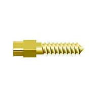 Nordin Gold Screw Posts, Cylindrical Cross Head, XL4, Lead Free Alloy, 12/Box, #03-022 - Screw Posts Golden plated Cylindrical Cross Head Refill XL4, lead free alloy - Image 1