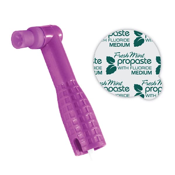 Pac-Dent ProAngle Plus Prophy Paste Combo, Prophy Angle with Firm Purple Cup and Medium Mint Paste, 100/Box - ProAngle Plus Prophy Paste Combo - Prophy Angle with Firm Purple Cup and Medium - Image 1