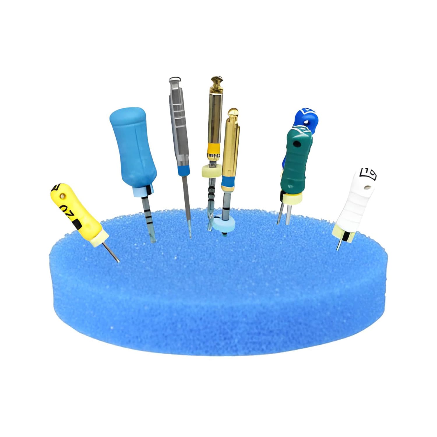 PlastCare USA Endodontic Foam, 2.5" Blue Round Sponge, 50/Pk - PlastCare USA Endodontic Foam, 2.5" Blue Round Sponge, 50/Pk - Image 1