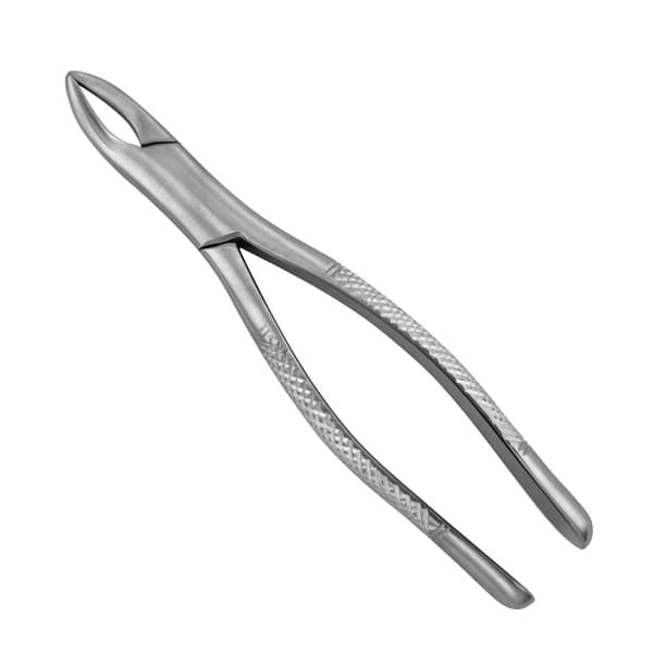 ProDent USA #101 Universal Extraction Forcep for Upper/Lower Premolars, Bicuspids & Deciduous - ProDent USA #101 Universal Extraction Forcep for Upper/Lower premolars - Image 1