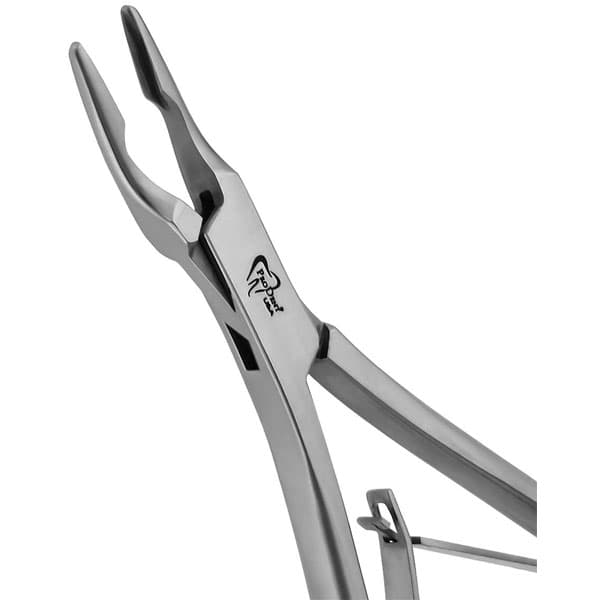ProDent USA 6" Friedman Rongeur, Curved Beak, End-Cutting Tip, Delicate, Double-Spring, Tempered Stainless Steel - ProDent USA 6" Friedman Rongeur with Curved beak and End-Cutting Tip Design - Image 1