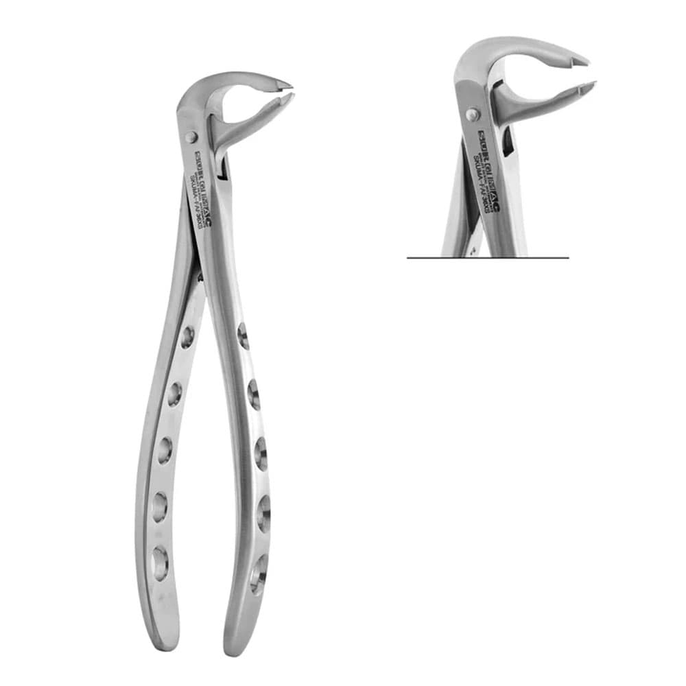 Surgimac Air Series #36 Atraumair Forceps, Lower Incisors & Canines, Stainless Steel, 1/Pk - Air Series Stainless Steel #36 Atraumair Forceps, Lower Incisors & Canines, 1/Pk - Image 1