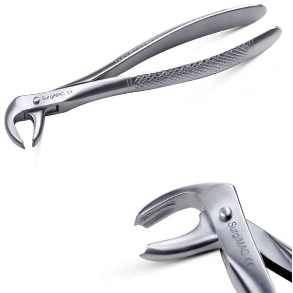 SurgiMac #13 European Style Forceps, Lower Premolars, Serrated Tips, Stainless Steel - SurgiMac #13 European Style Forceps with Serrated tips - Image 1