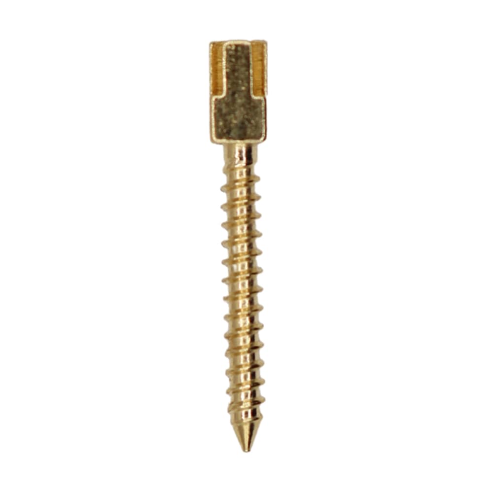 Valdent USA Gold-Plated Screw Post Refill, L2, #2 Long 11.8mm, 12/Pk - Valdent USA Gold-Plated Screw Post Refill - L2, #2 Long 11.8mm, 12/Pk - Image 1