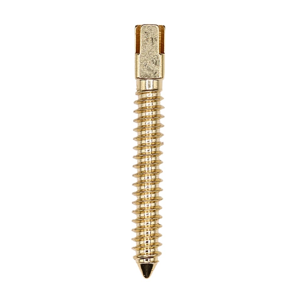 Valdent USA Gold-Plated Screw Post Refill, #6 X-Long 14.2mm, 12/Pk - Valdent USA Gold-Plated Screw Post Refill - XL6, #6 X-Long 14.2mm, 12/Pk - Image 1